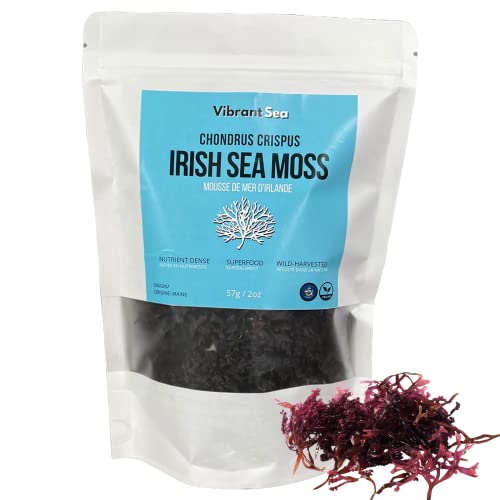 Organic Irish Sea Moss - Wildcrafted Chondrus Crispus