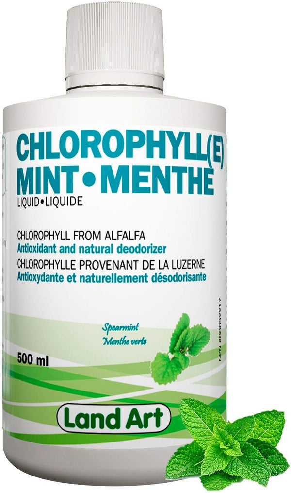 Liquid Chlorophyll Mint